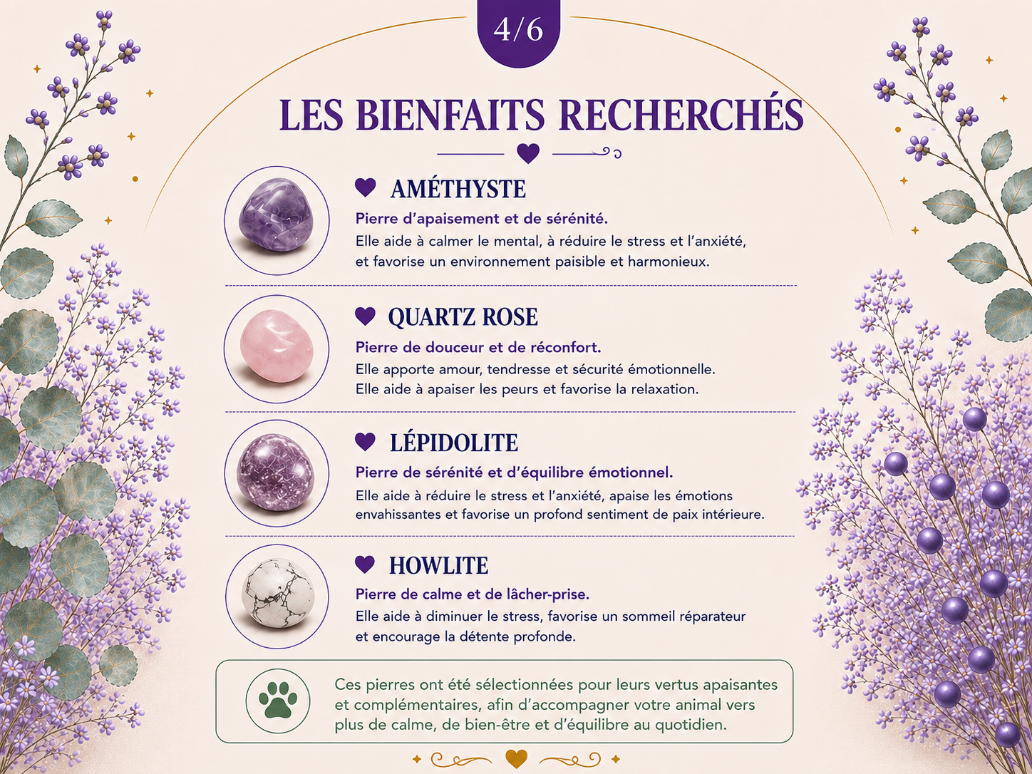 Chuchoti de Sérénité