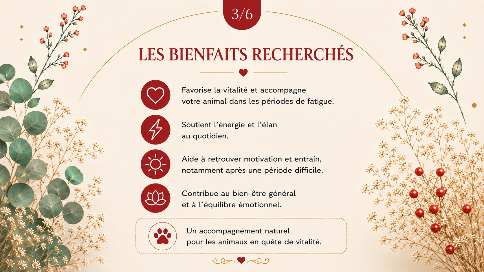 Pochon énergétique Vitalité